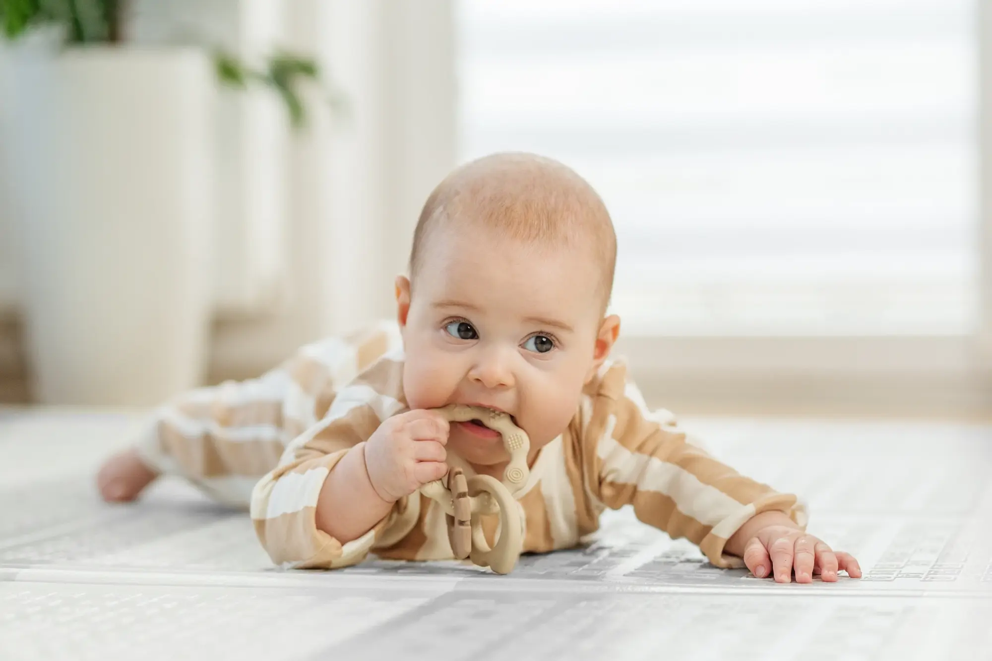 Baby teething on a toy